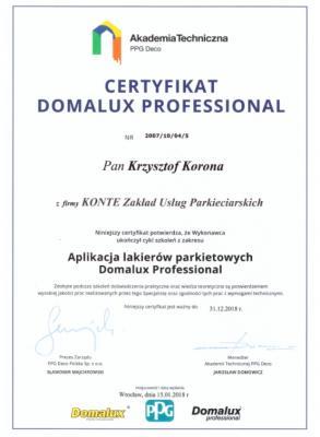Certyfikat Domalux Professional